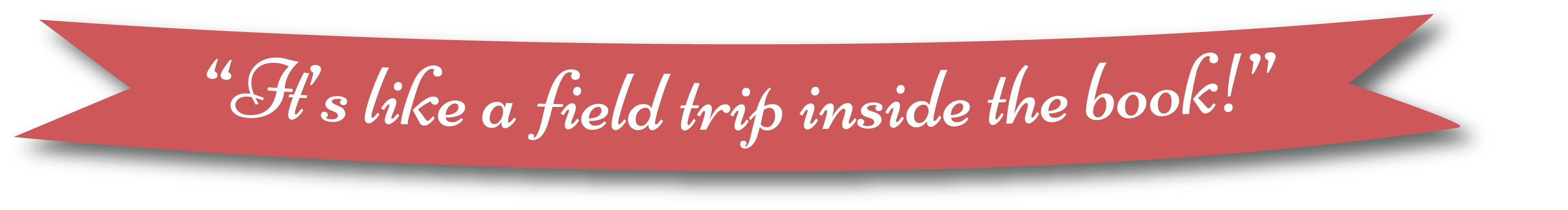 LitWits creative activity ideas for teaching literature are "like a field trip inside the book!"