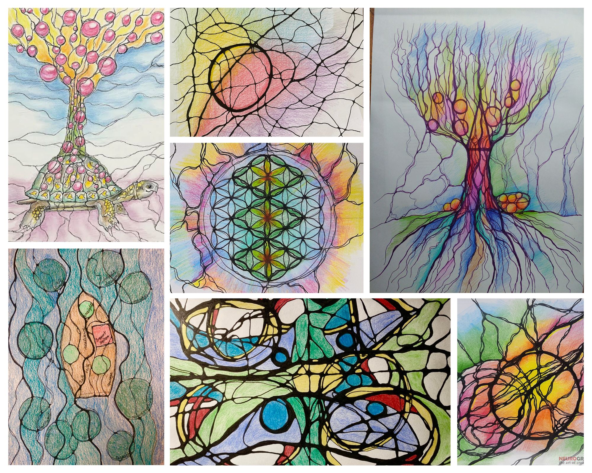 Neurographica benefits testimonials