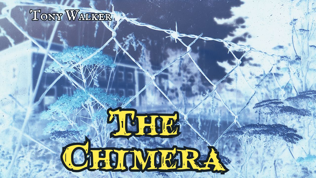 The Chimera