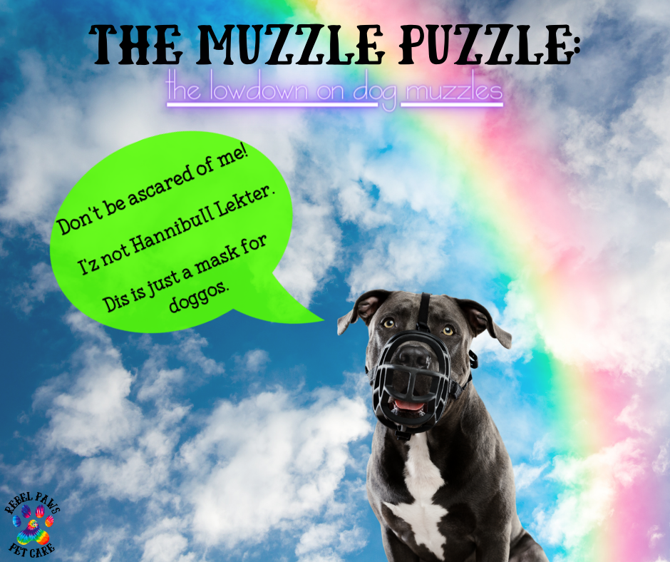 The Muzzle Puzzle the lowdown on dog muzzles