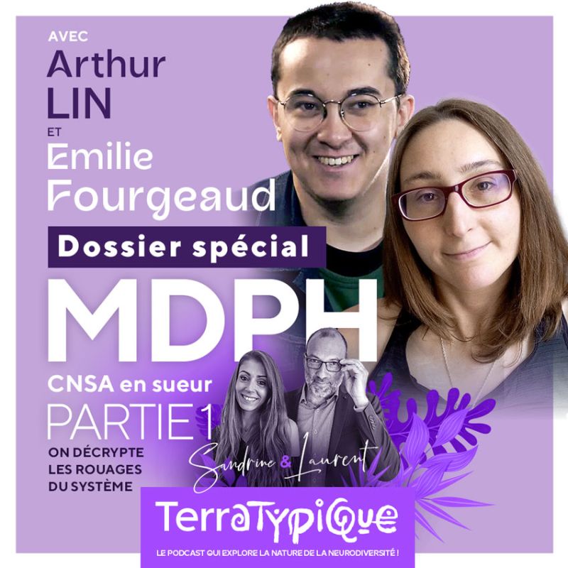 Terratypique Dossier Spécial "MDPH, CNSA en sueur" - partie 1