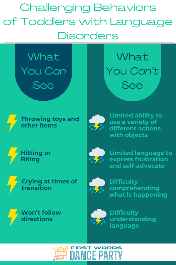 What you can and can't see in the challenging behaviors of toddlers with language disorders