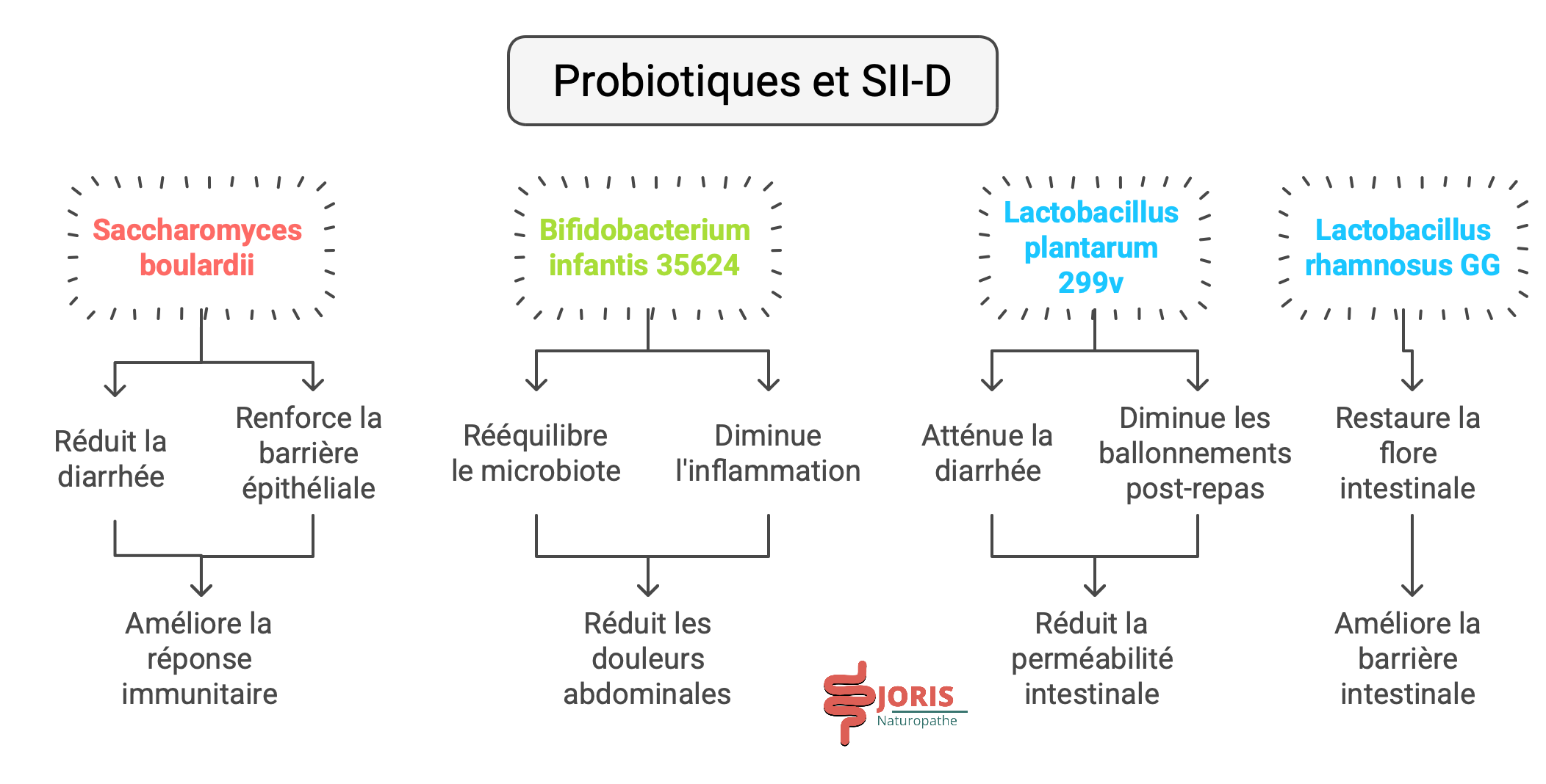 probiotiques et SII-D