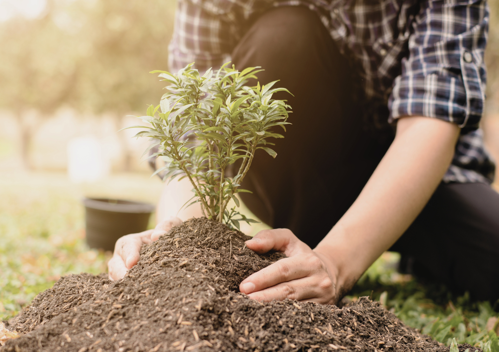 Femme agricultrice qui plante en conscience 