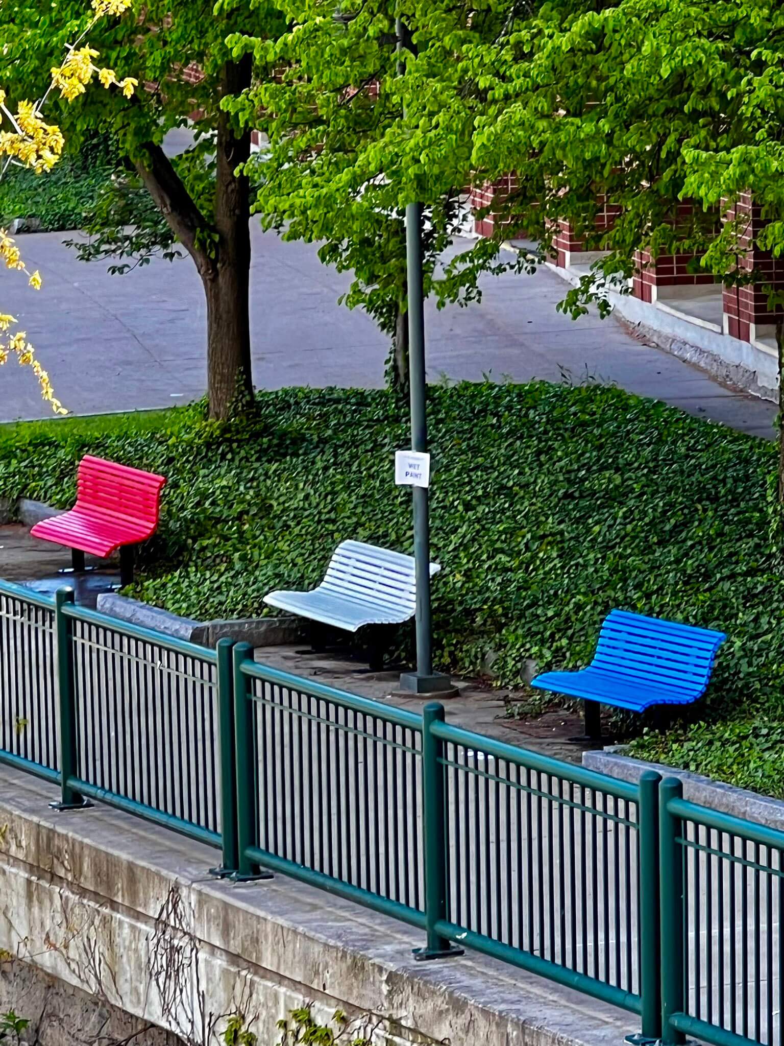 Amerks Benches After