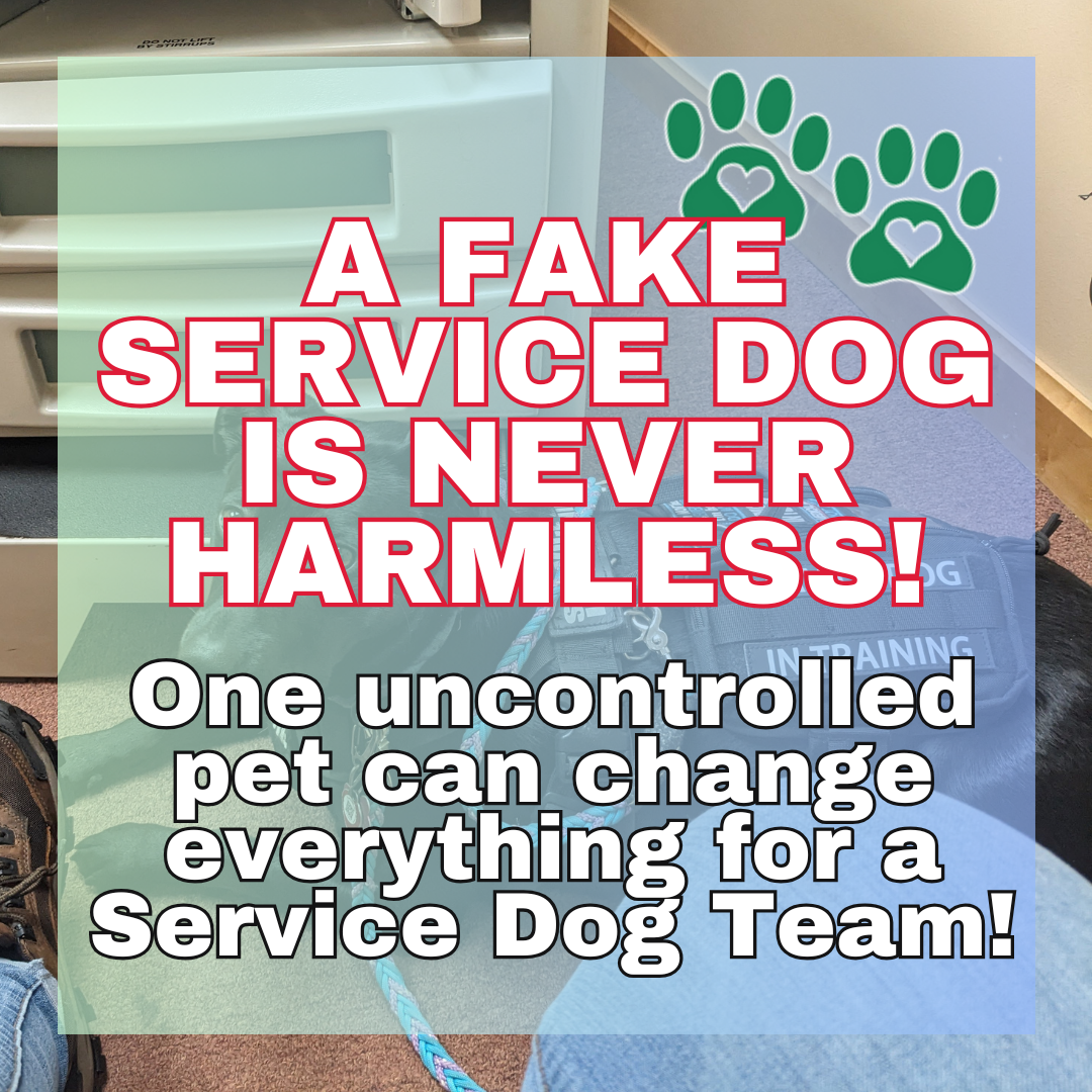 A Fake Service Dog is Never Harmless