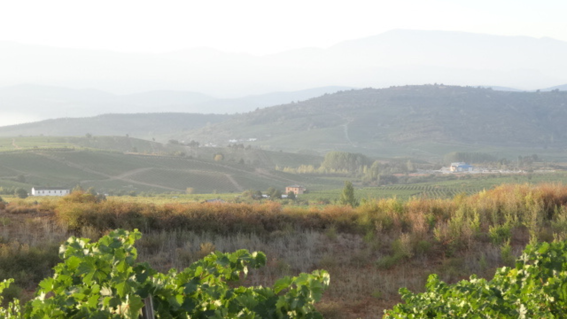 Camino de Santiago - Counting My Blessings 02 Bierzo Valley, Spain