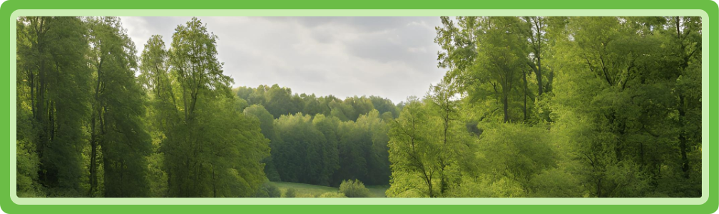 Wildplukken in de natuur