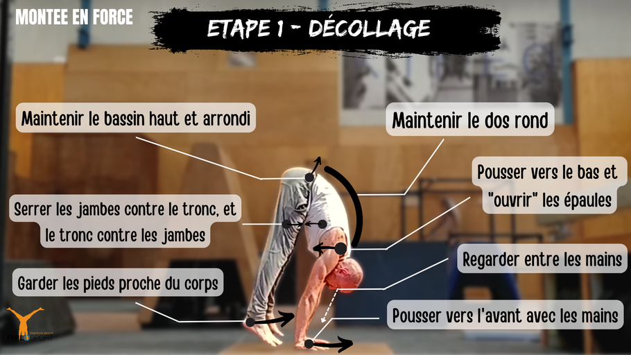 La technique de la montée en force - équilibre sur les mains