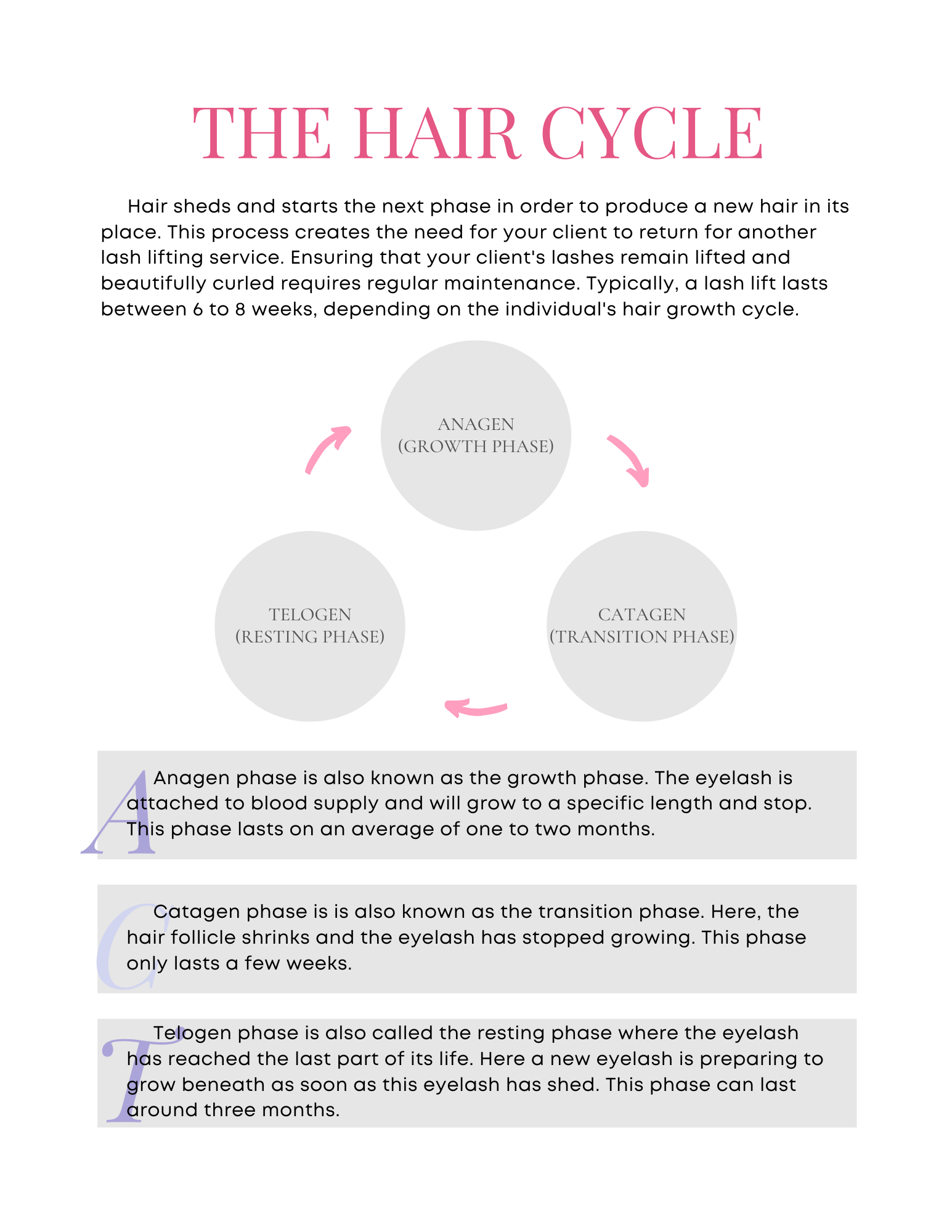 hair cycle