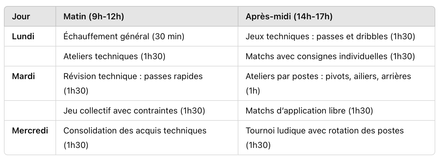 Stage de handball de 3 jours pour des U11-U13