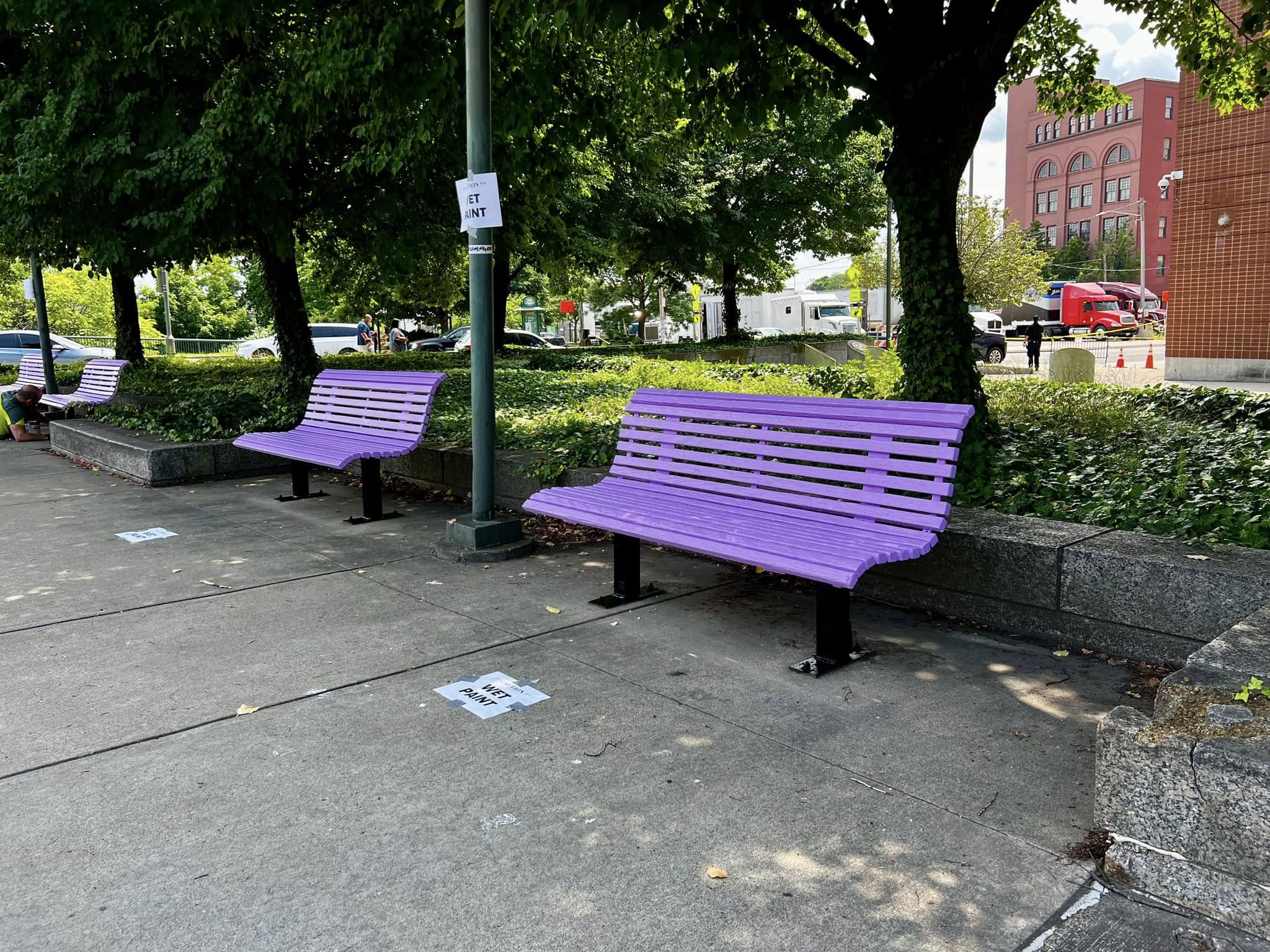 Lilac Benches