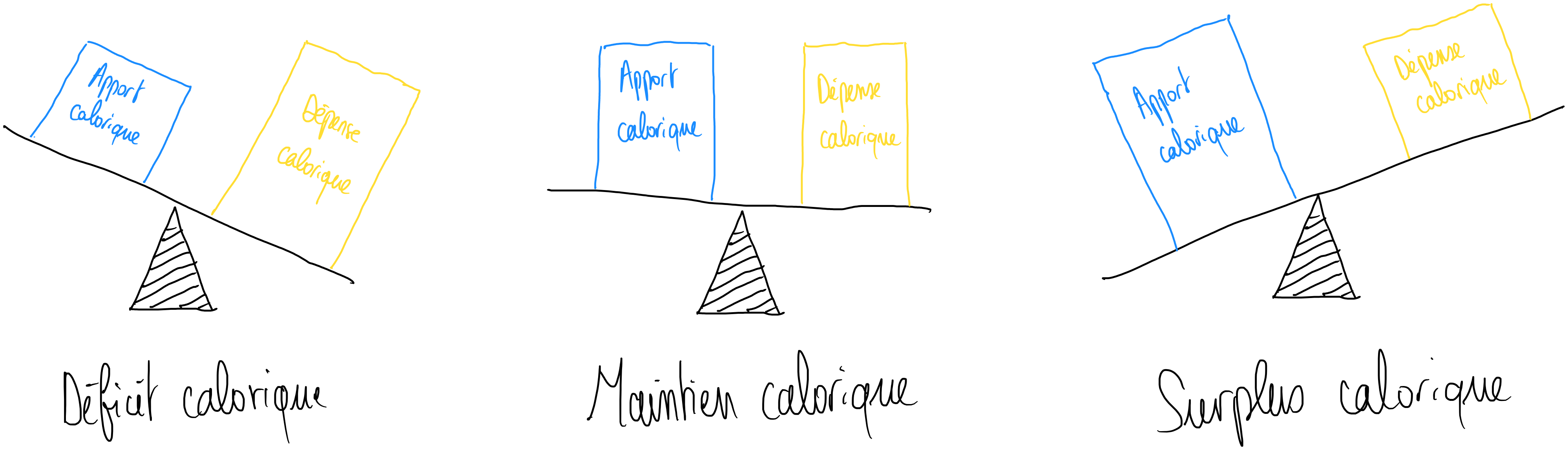 balance énergétique