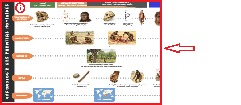 Zone principale frise de l'évolution de l'Homme