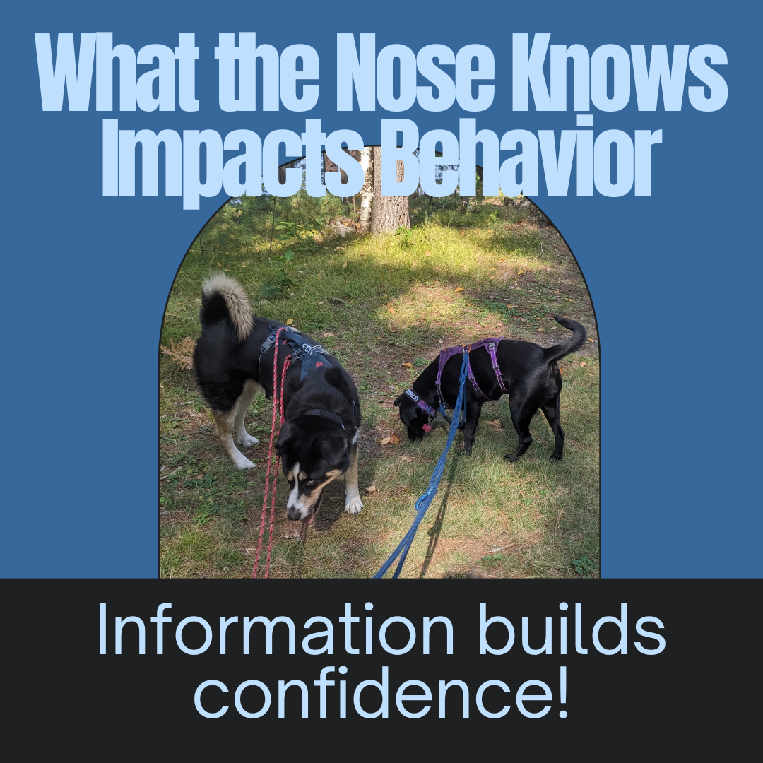 two dogs sniffing the grass, text states: "What the nose knows impacts behavior; information builds confidence.