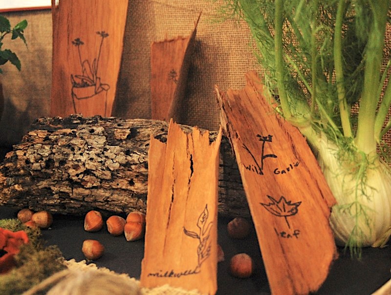 Drawing on "birch" (eucalyptus) bark like Sam Gribley in MY SIDE OF THE MOUNTAIN by Jean Craighead George - by LitWits Workshops
