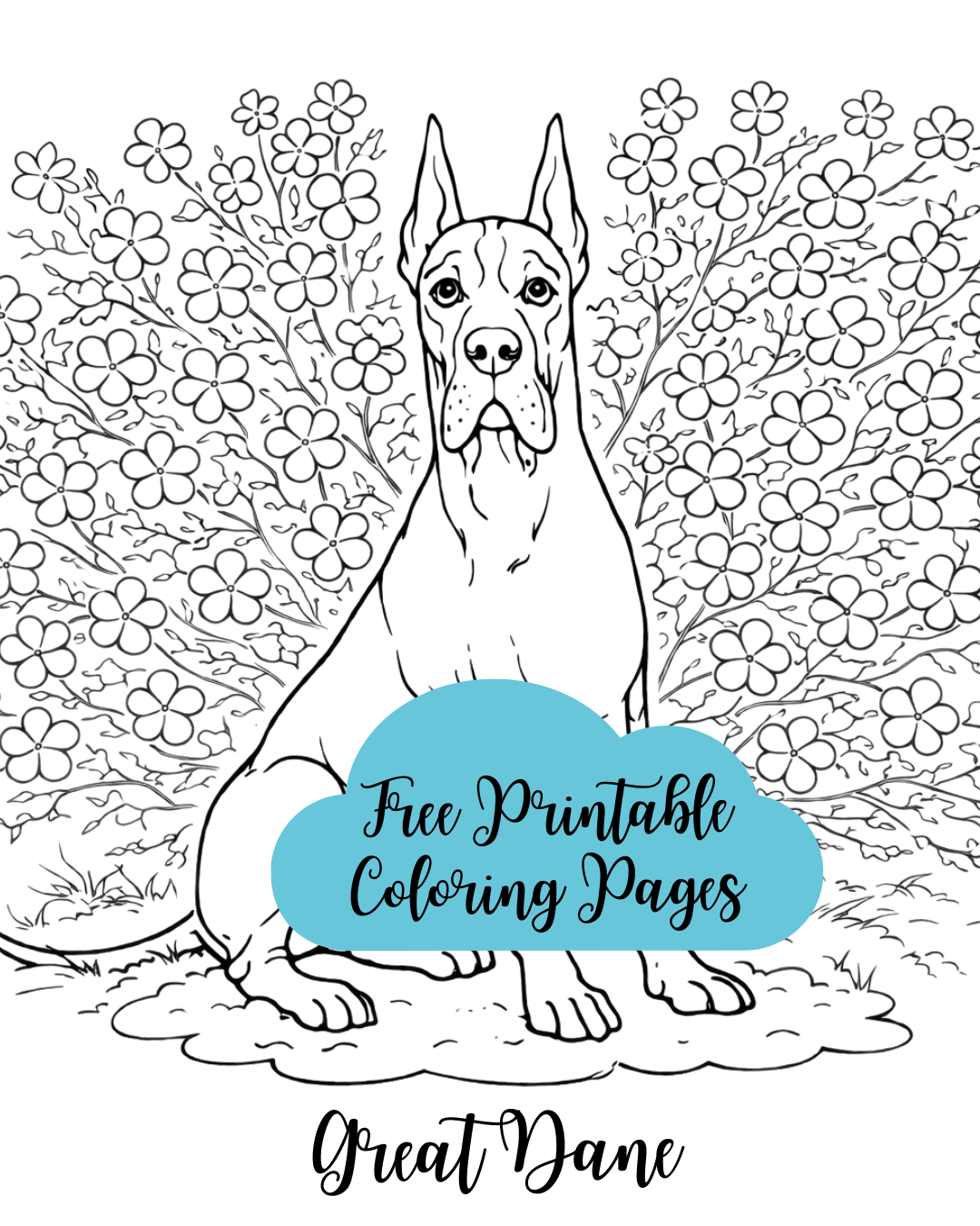 Great Dane Coloring Page