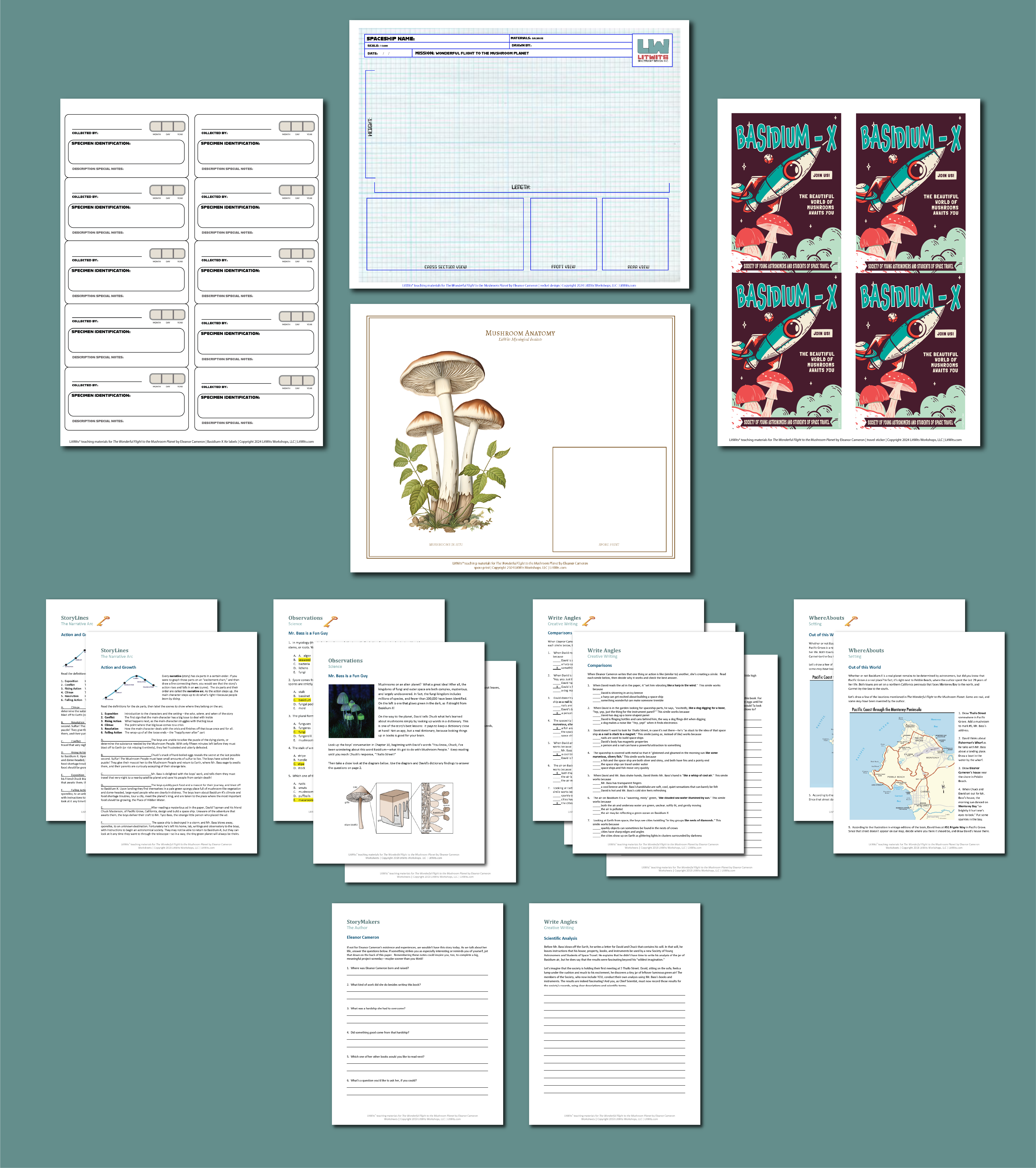 LitWits activity printables for teaching THE WONDERFUL FLIGHT TO THE MUSHROOM PLANET by Eleanor Cameron