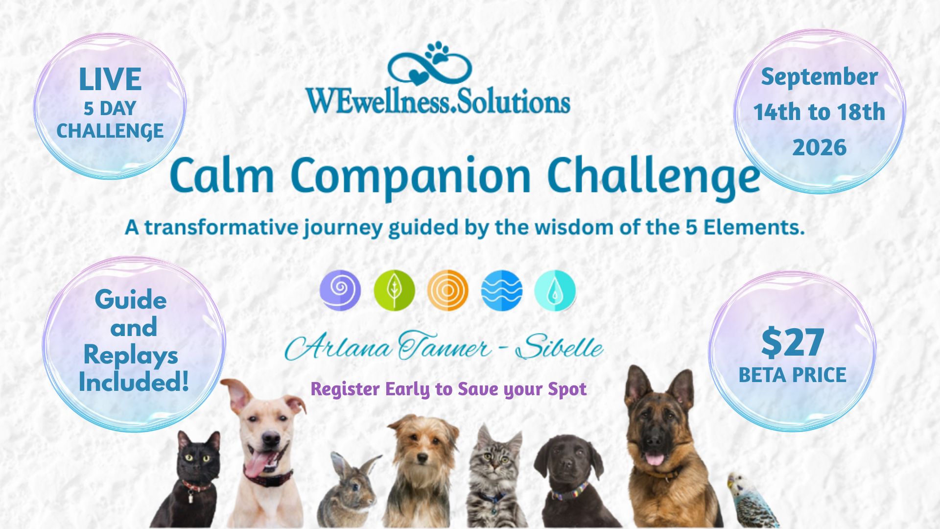Elemental Calm Companion Challenge Header Image