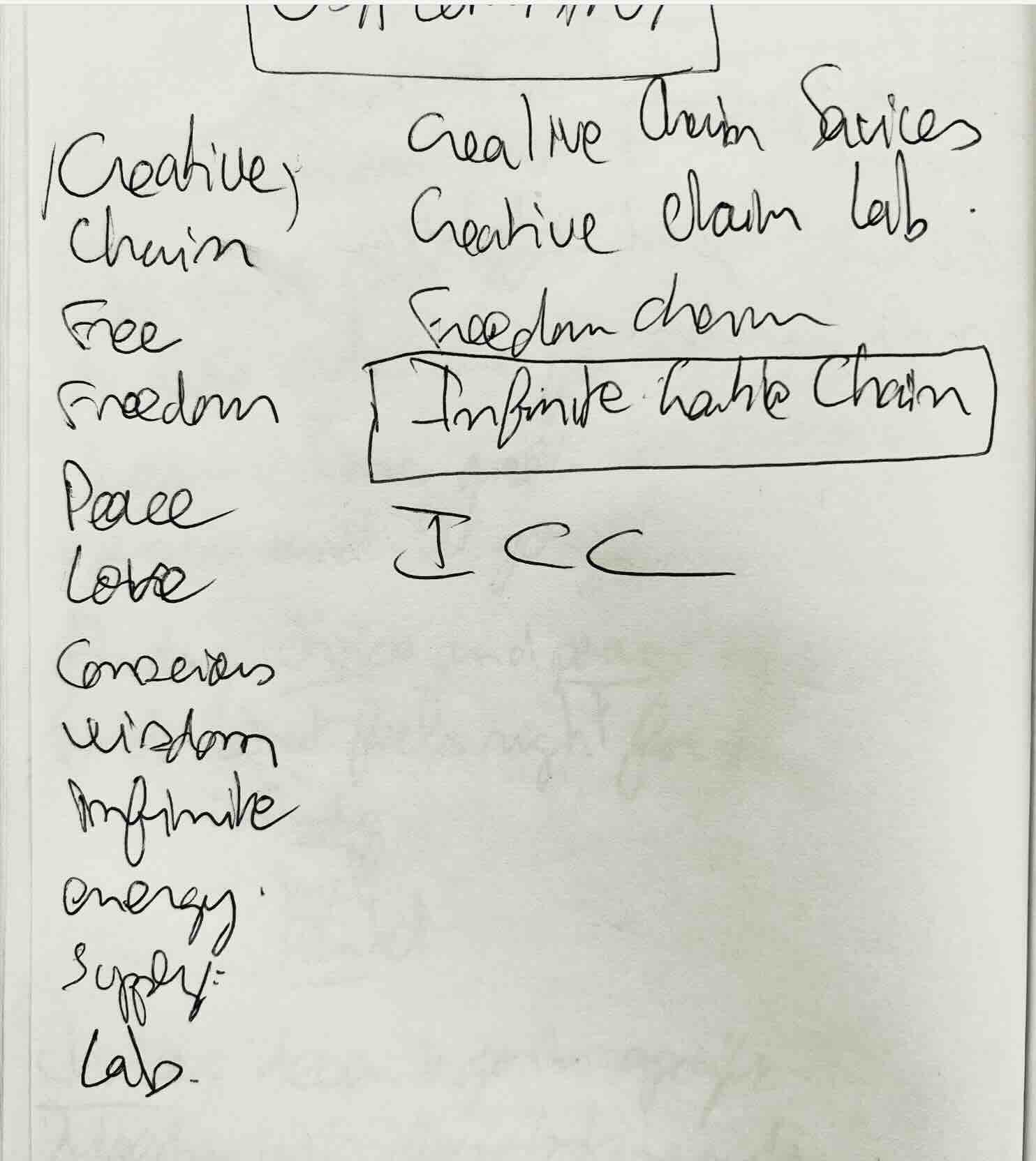 My journal notes in Costa Rica