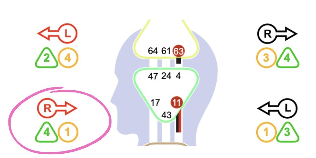 human design environment variable