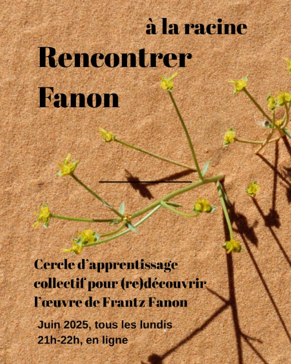 texte en noir: à la racine, Rencontrer Fanon. En arrière-plan: une plante aux tiges fines vertes et aux fleurs jaunes sort du sable, où on voit son ombre se dessiner.