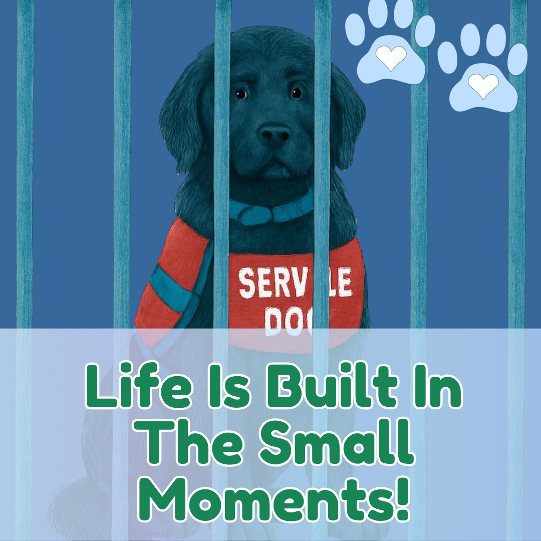A black lab sits behind a gate, caption reads "Life is Built in the Small Moments!"