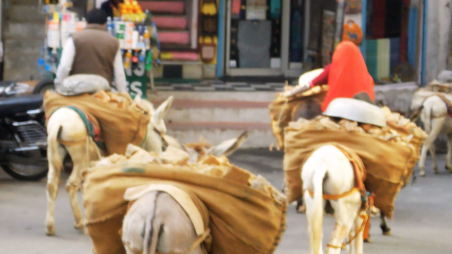 Walking the streets of Udaipur, Rajasthan