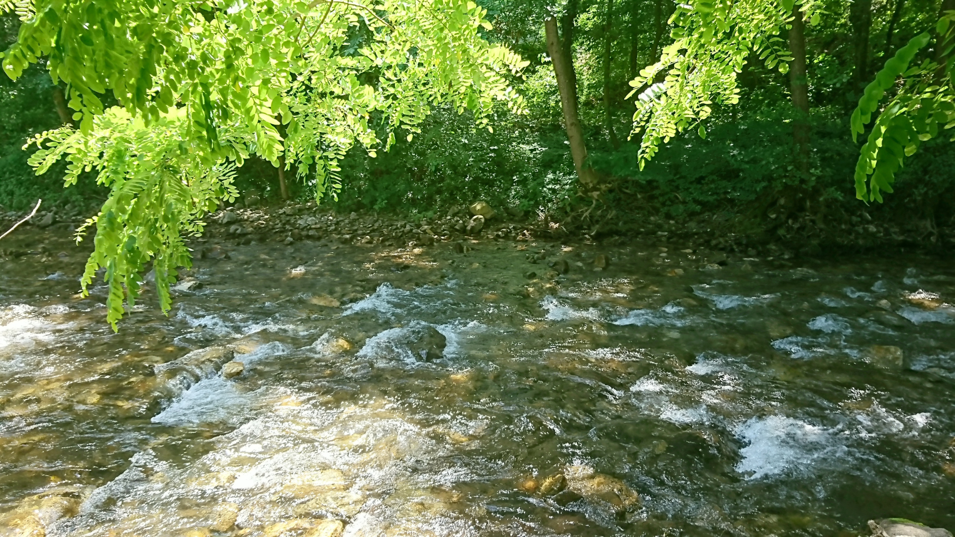 178 Bulgaria | Blagoevgraska Bistritsa River