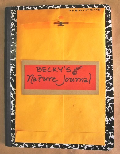 Sam's nature journal, from The Trumpet of the Swan by E.B. White - a creative teaching idea from LitWits workshops