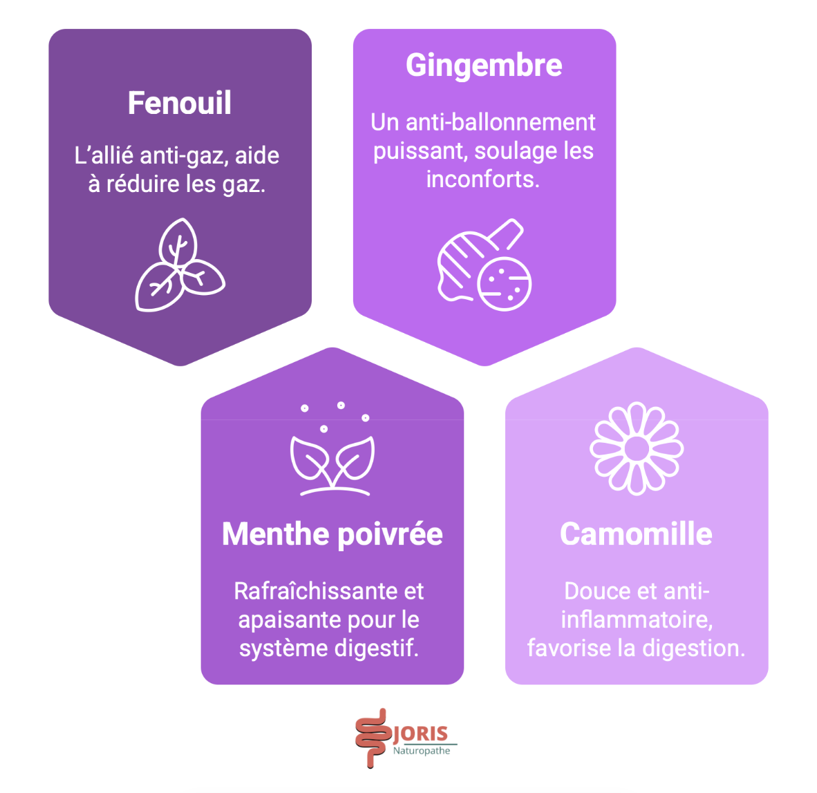 tisane contre les ballonnements