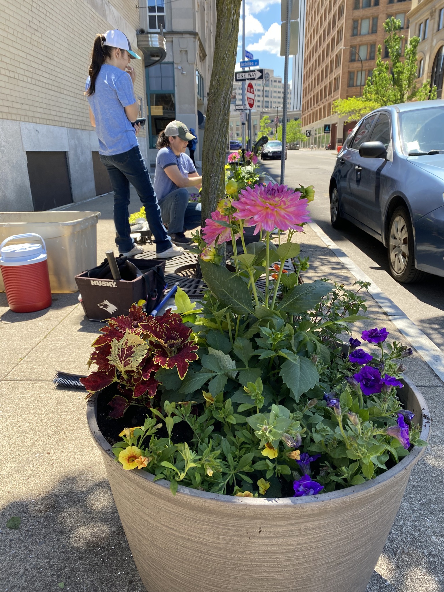 Salvation Army planters