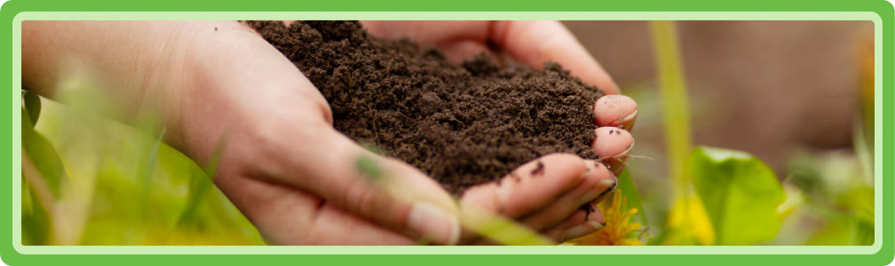 De zorg voor een gezonde bodem