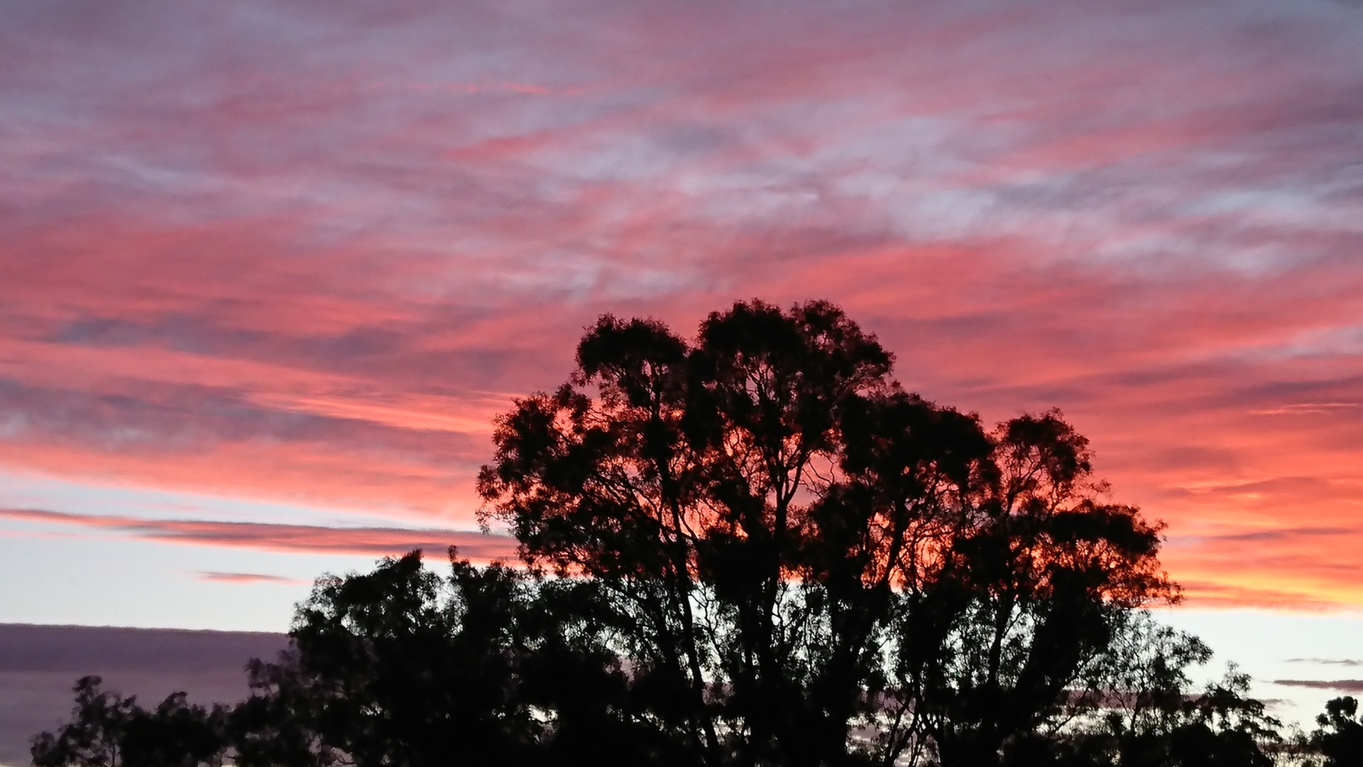 Sunset Mt Barker | Sth. Australia
