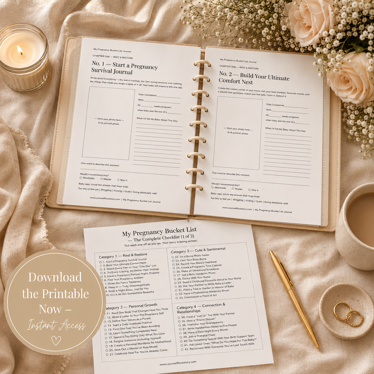 Pregnancy Bucket List Printable Pregnancy Journal