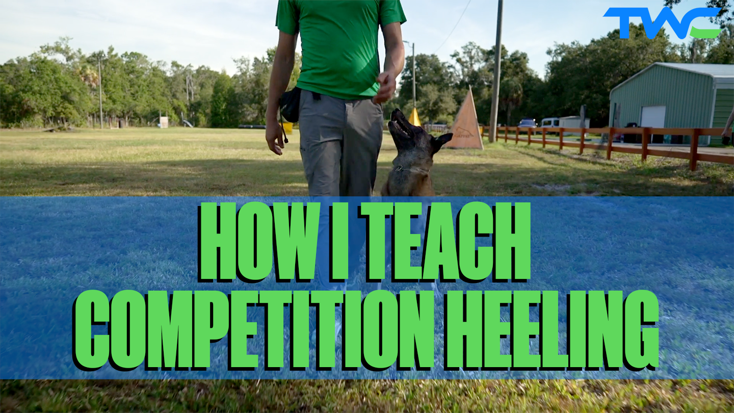 Competition heeling sales