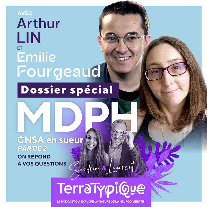 Terratypique Dossier Spécial "MDPH, CNSA en sueur" - partie 2
