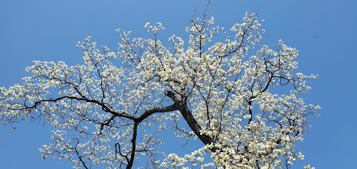 Tapping into the Power of Nature's Energy: How to Harness It for Growth and Renewal