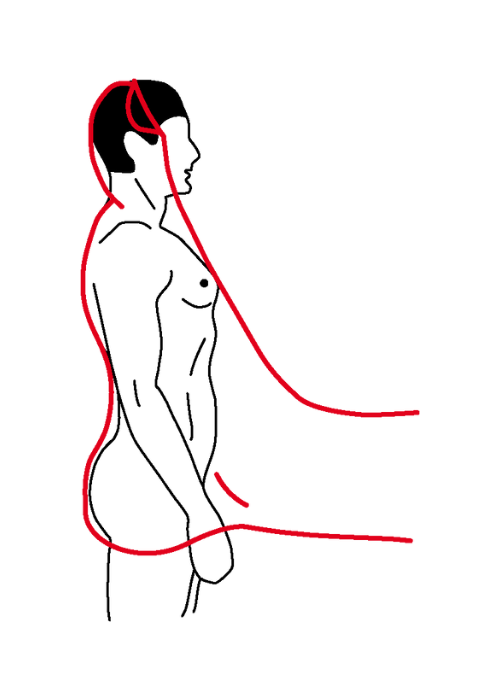 Le corps humain dans le pied