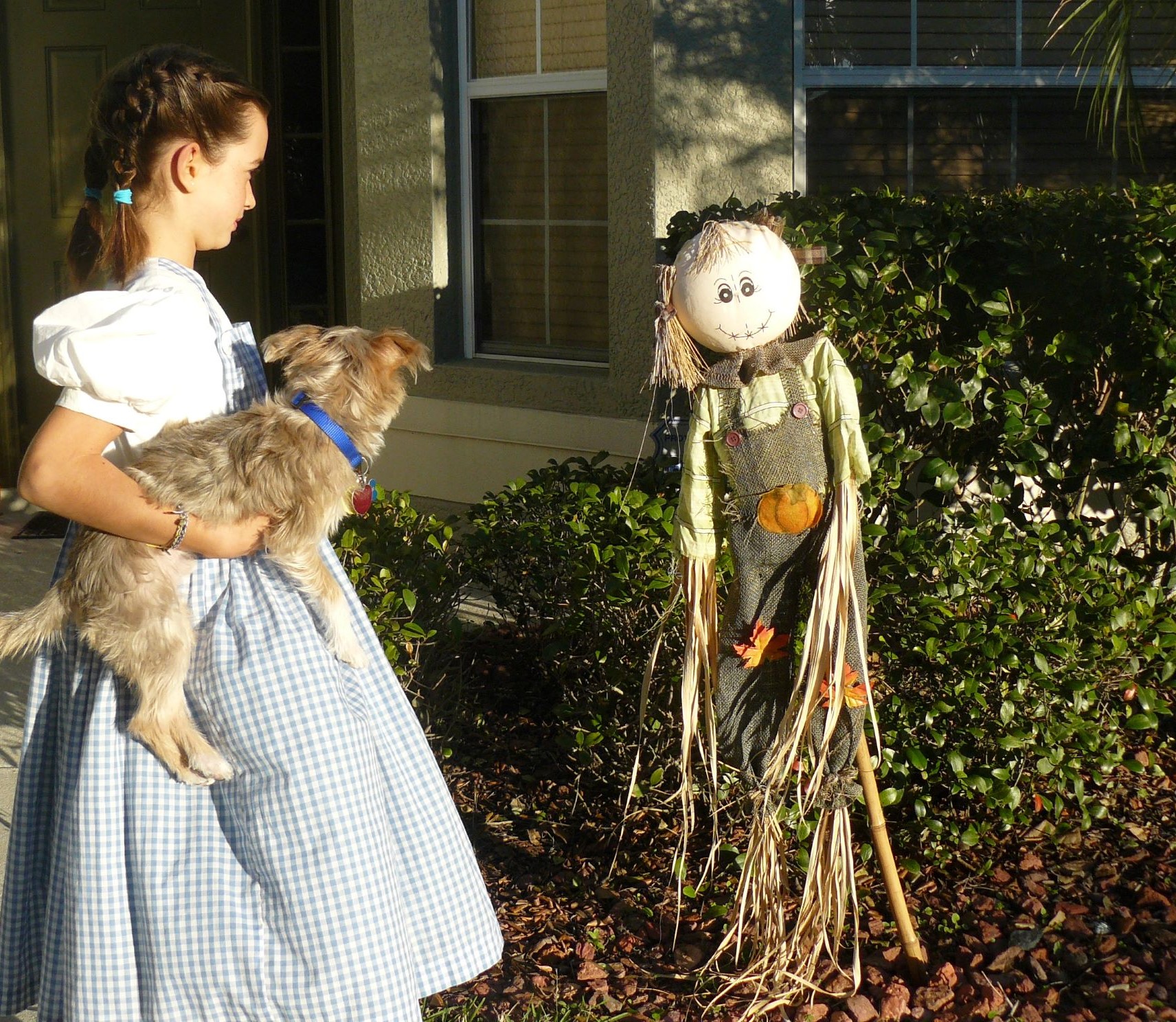 Act out great literature - The Wonderful Wizard of Oz - homeschooldrama.com