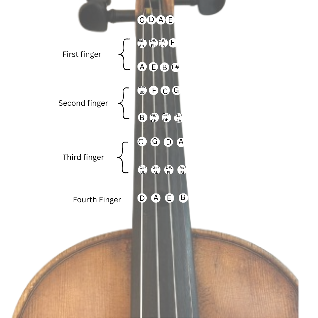 Violin Fingering Chart
