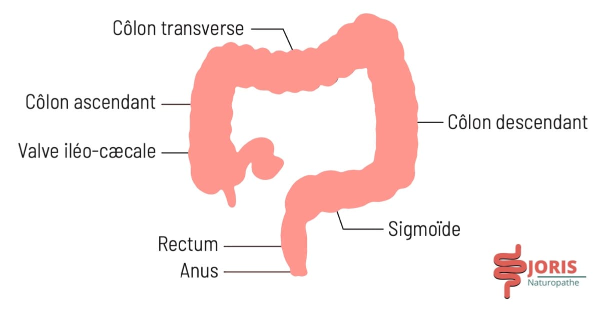 douleurs abdominales gauche