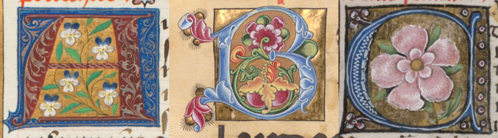 Letters In Bloom 3-13 through 4-17