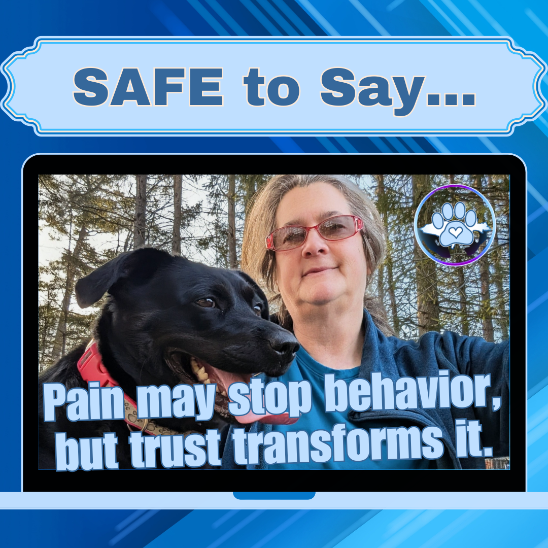 Dog Trainer and black lab enjoying some fresh air with woods in the background. Caption states: It's SAFE to say, pain stops behavior but trust transforms it!