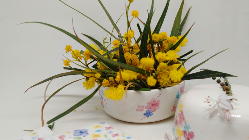 pintura bajo cubierta de esmalte transparente