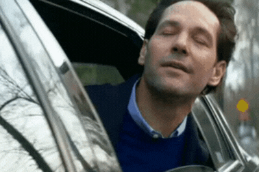 homme heureux qui passe la tête par le fenêtre de sa voiture en souriant