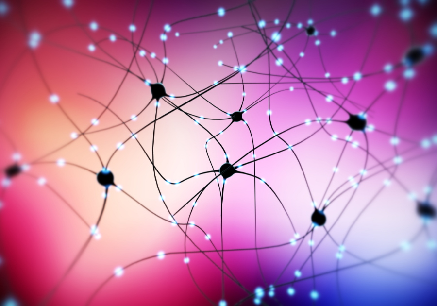 Illustration of the vagus nerve and nervous system, showing mind-body connection in wellness.