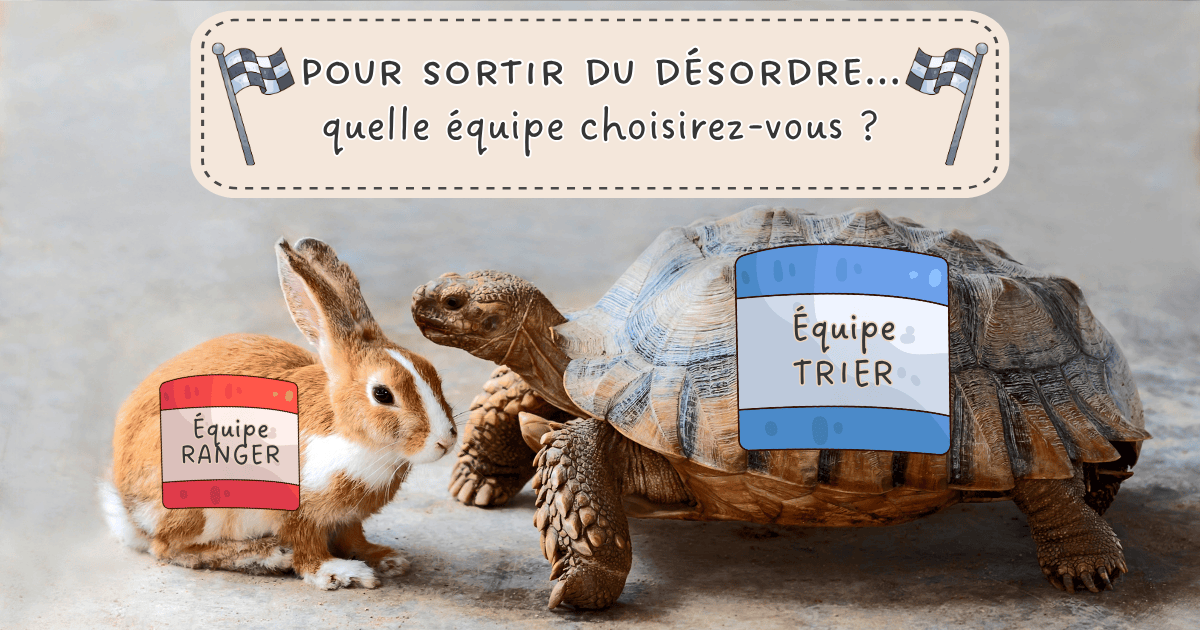 Pour sortir du désordre, quelle équipe choisirez-vous&nbsp;? Équipe ranger (le lièvre sur l'image) ou équipe trier (la tortue )&nbsp;?