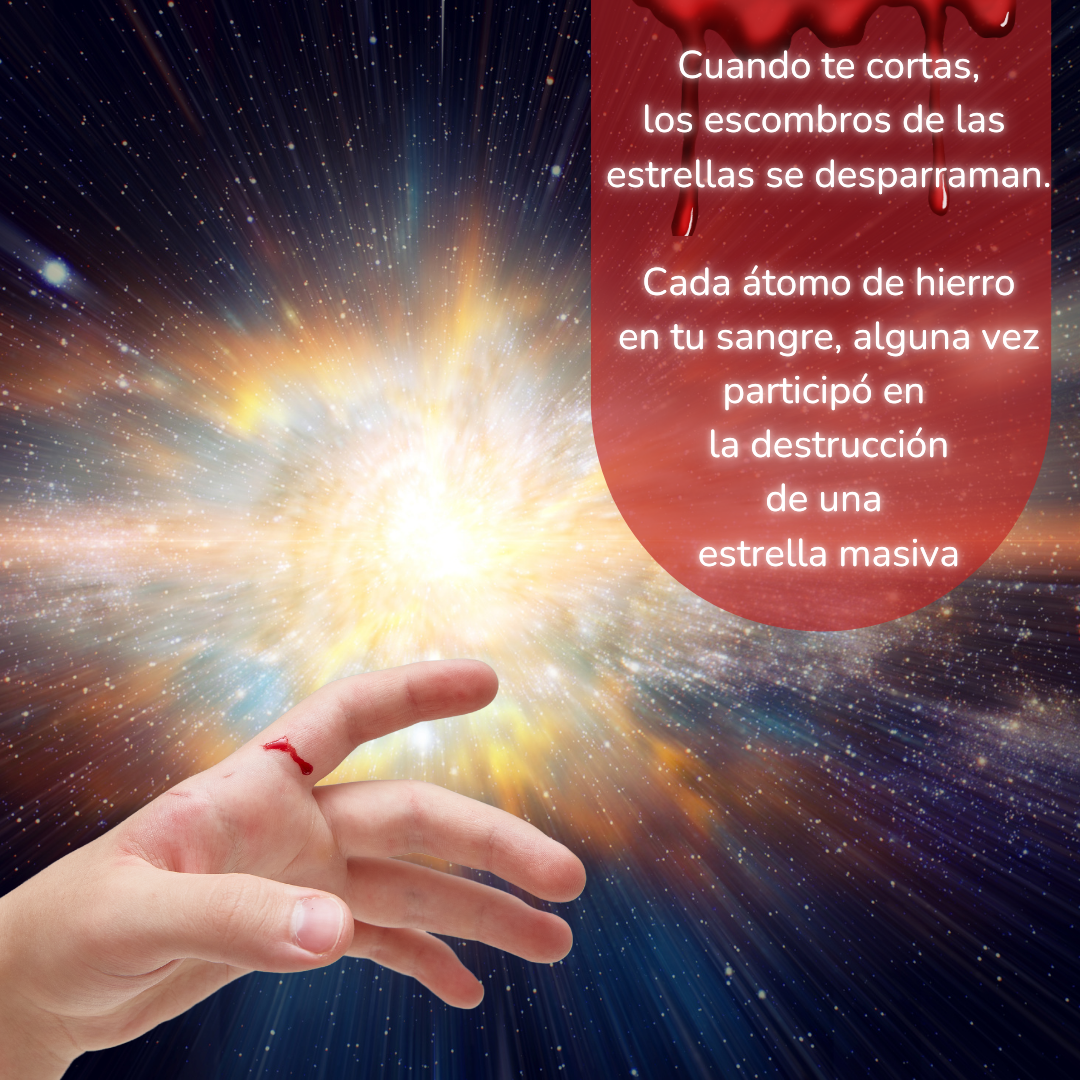 El universo en cada átomo