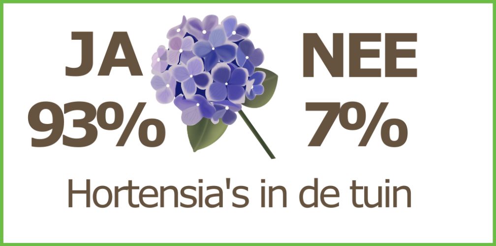 Uitslag onderzoek 93% heeft Hortensia in de tuin